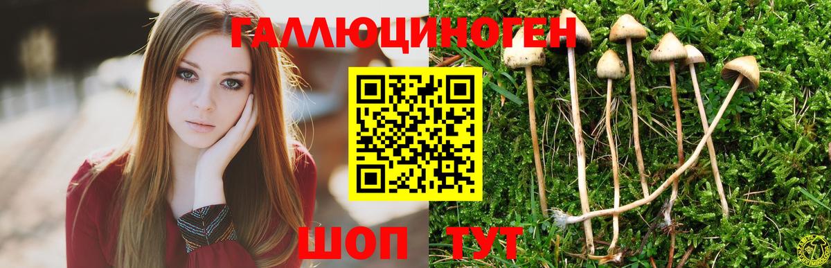 Вятские Поляны  Галлюциногенные грибы GOLDEN TEACHER  Вход с VPN  Псилоцибиновые грибы Psilocybe 